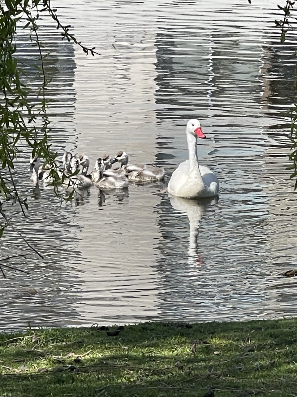 Análisis de Liderazgo