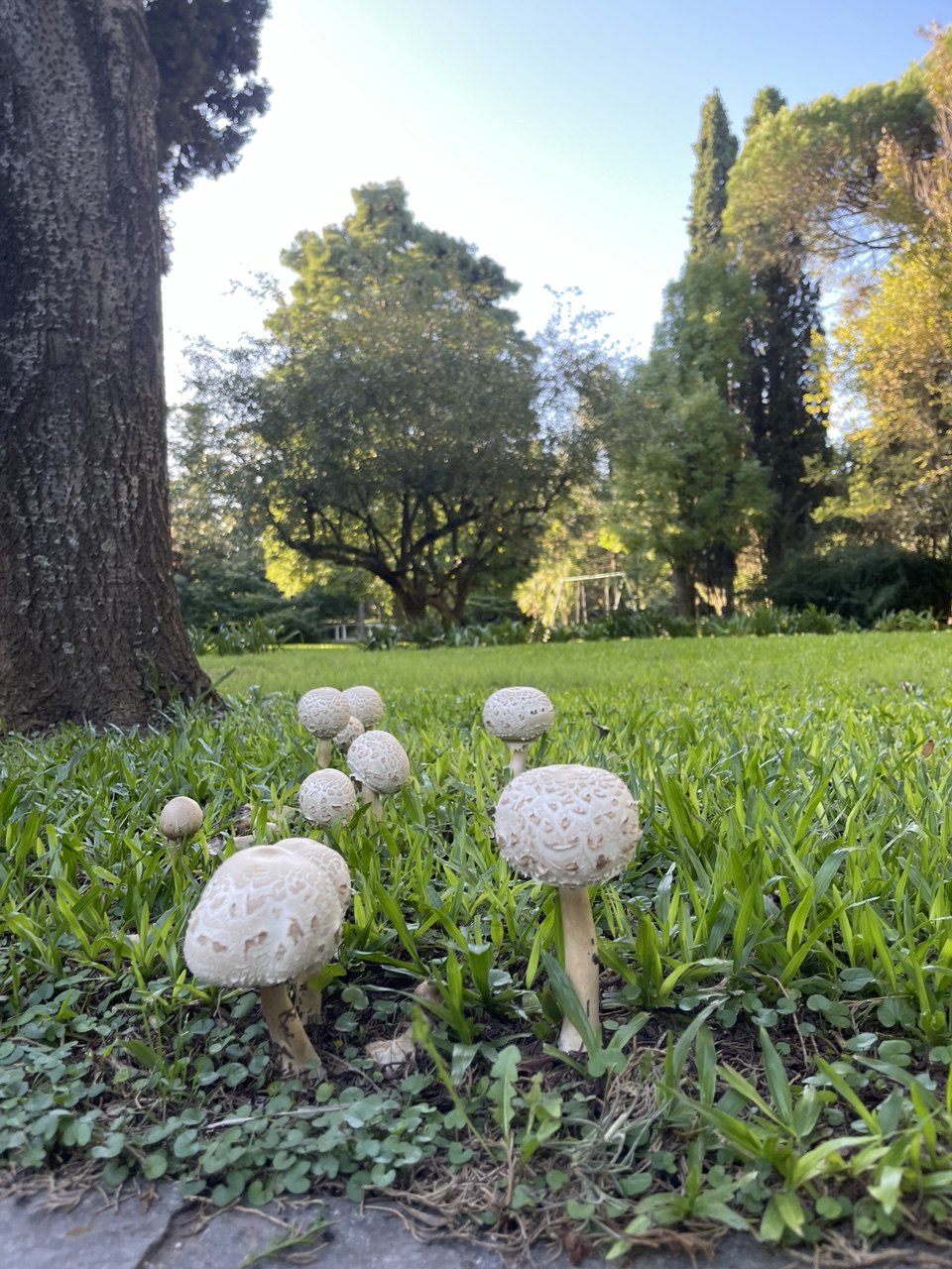 Ingeniería de Equipos