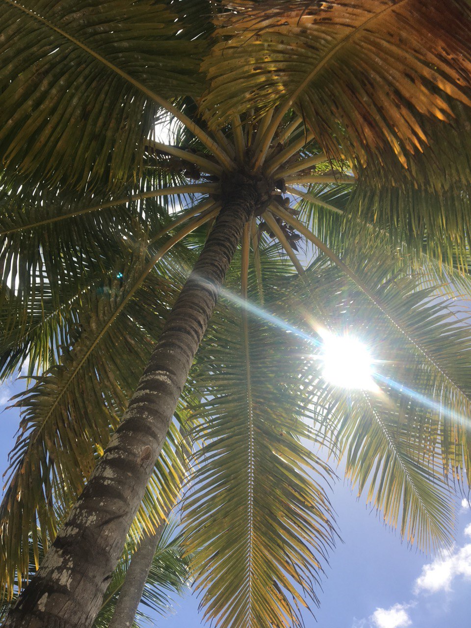 Selección de Talento