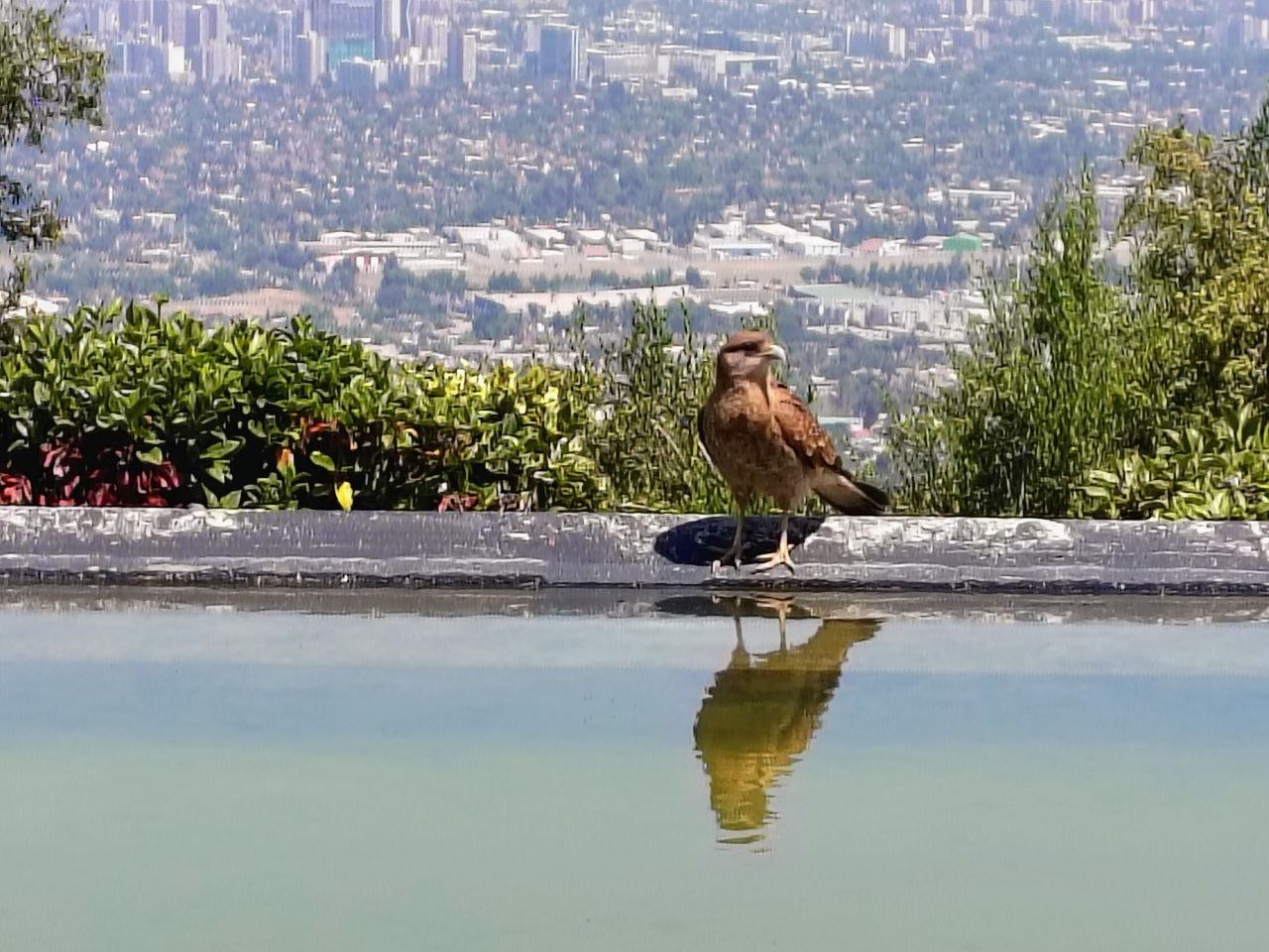 DESAFIOS & OPORTUNIDADES